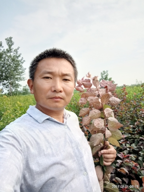 孩子爸的第一张照片--新沂中老年相亲网